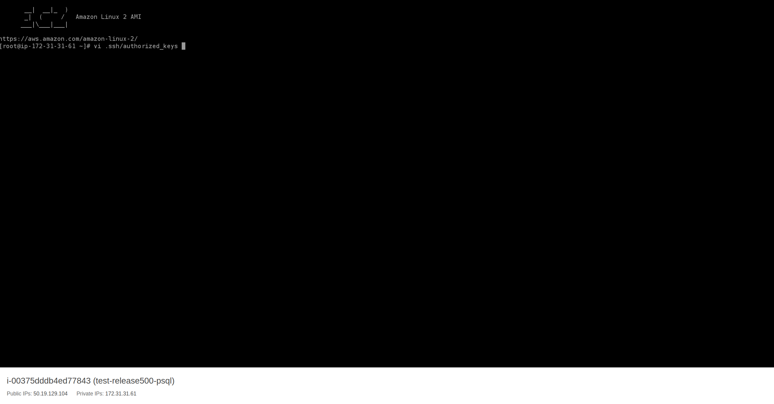 EC2 Instance Connect Terminal